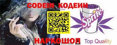 стаф Дубна