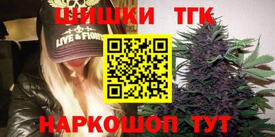 стаф Дубна