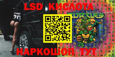 стаф Дубна