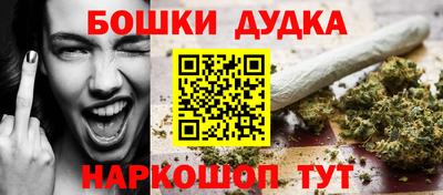стаф Дубна