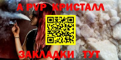 стаф Дубна