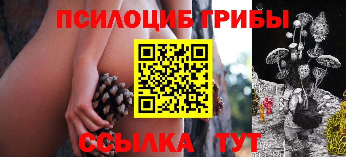 Луга  Псилоцибиновые грибы Psilocybine cubensis  Псилоцибиновые грибы мицелий  Вход с VPN 