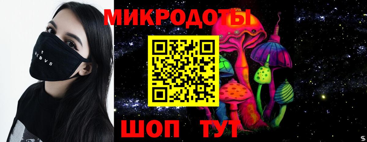Псилоцибиновые грибы Psilocybe Луга